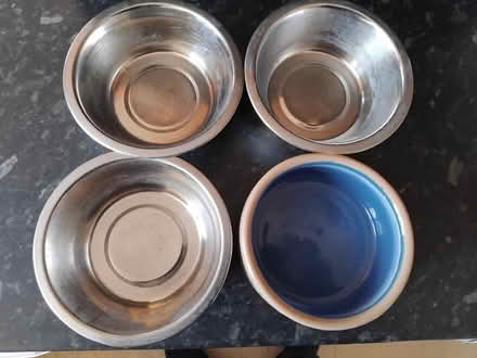 Photo of free Used cat bowls (GU34 Medstead) #1