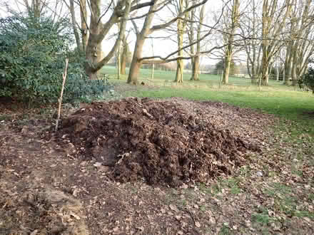 Photo of free Compost (Cookley Green RG9) #1