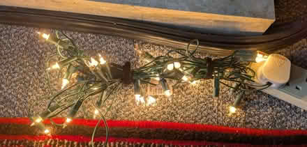Photo of free Christmas Tree Lights (Comiston EH10) #1
