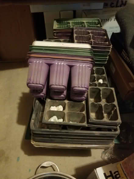 Photo of free Seed starting trays (Coors and St Josephs) #1