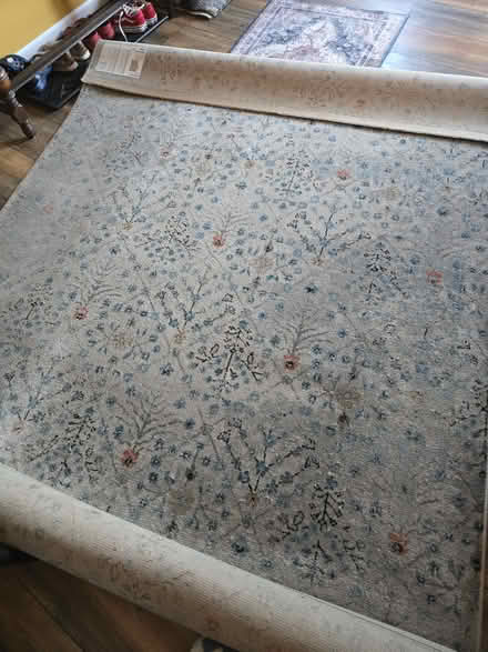 Photo of free 5 X 7 Rug (Streamwood near HS) #1