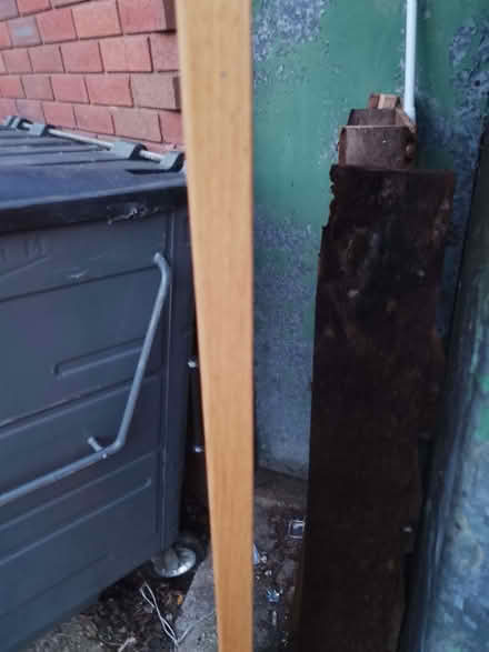 Photo of free Plywood/fibre board (Morden SM4) #2