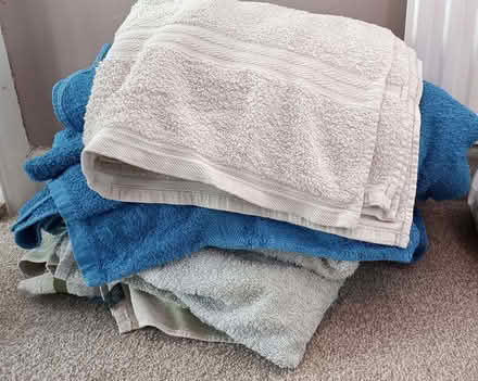 Photo of free Towels suitable for pet towels/bedding (Stinchcombe GL11) #1