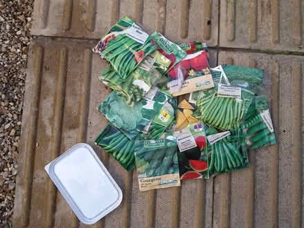 Photo of free Seeds (Burnham on sea Central TA8) #1