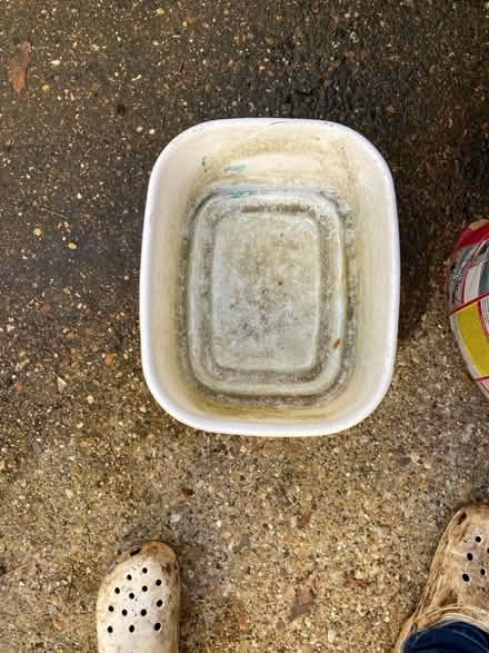 Photo of free Old washing up bowl (Southdown AL5) #1