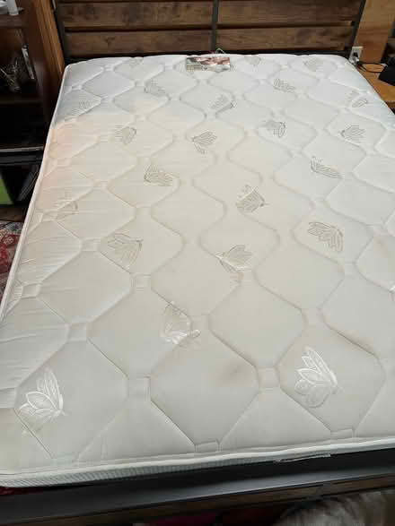 Photo of free Queen mattress (South Ashland) #1