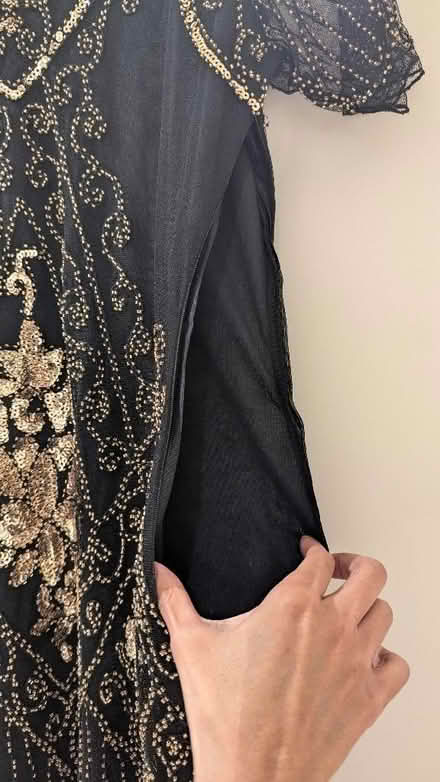 Photo of free 1920 Flapper fringed sequin dress + head piece. (Finsbury Park N7) #2