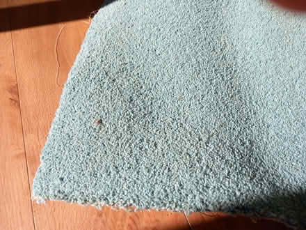 Photo of free Carpet cut-off (Woodley RG5) #2
