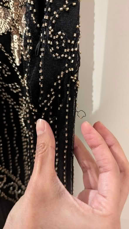 Photo of free 1920 Flapper fringed sequin dress + head piece. (Finsbury Park N7) #3