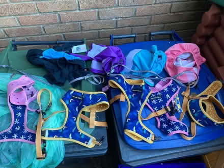 Photo of free Dog Accessories - Harnesses, Season Pants, Leads (Chippenham SN15) #1