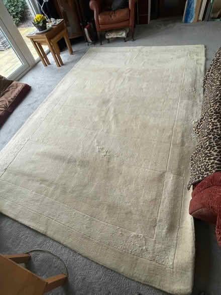 Photo of free Cream rug (Warton LA5) #1