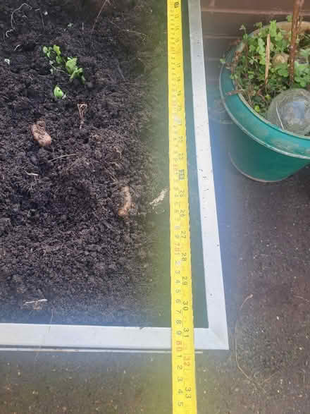 Photo of free Raised planter (Crystal Palace) #3
