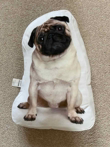 Photo of free Small pug cushion (ME19 4) #1