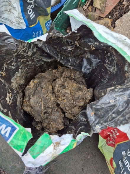 Photo of free Garden clay (High Green S35) #3