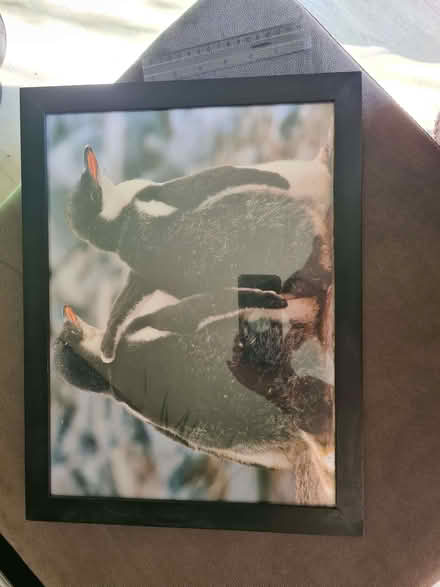 Photo of free Penguin pic in black frame (Park South SN3) #1