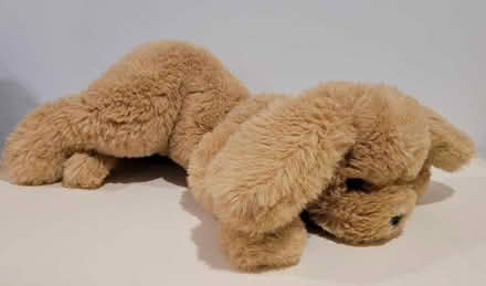 Photo of free GUND Bears and Gund Dog (Hunt Club/McCarthy K1V 9H9) #4