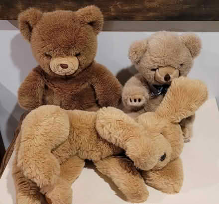 Photo of free GUND Bears and Gund Dog (Hunt Club/McCarthy K1V 9H9) #1