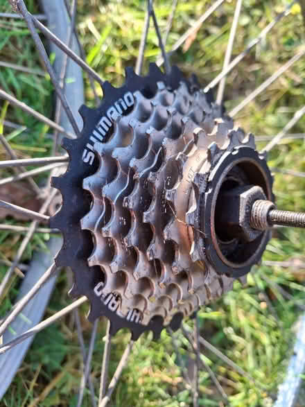 Photo of free 26" MTB Wheelset - 7 Speed (Rusthall TN3) #2