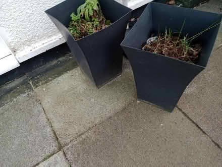 Photo of free Plant pots (Knowsley) #2