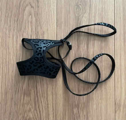 Photo of free Kitten/Cat Harness with lead (AB51) #1