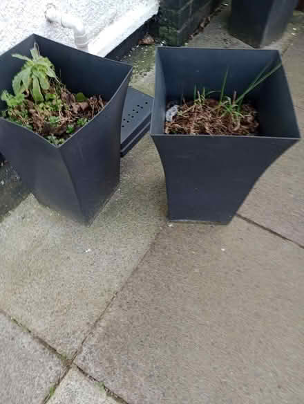 Photo of free Plant pots (Knowsley) #1