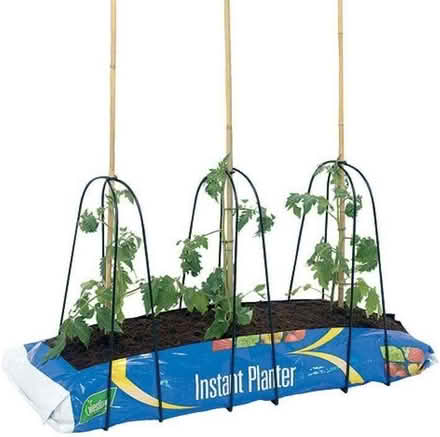 Photo of free Grow Bag cane supports (Downley HP13) #2
