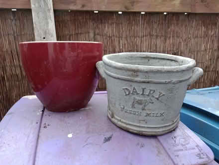 Photo of free Plant pots (Knowsley) #4