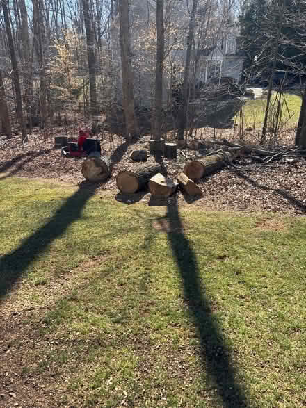 Photo of free Hardwood (6969 Brandi Wood Cir) #1