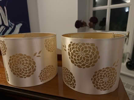 Photo of free 2 x lamp shades (Berkhamsted) #1