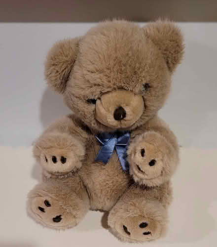 Photo of free GUND Bears and Gund Dog (Hunt Club/McCarthy K1V 9H9) #3