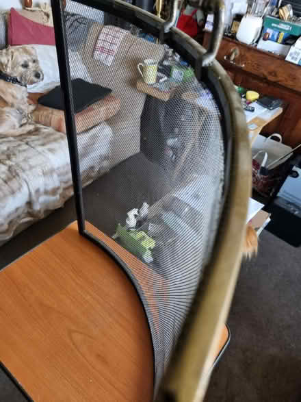 Photo of free Fire guard (LE16 Market Harborough) #3