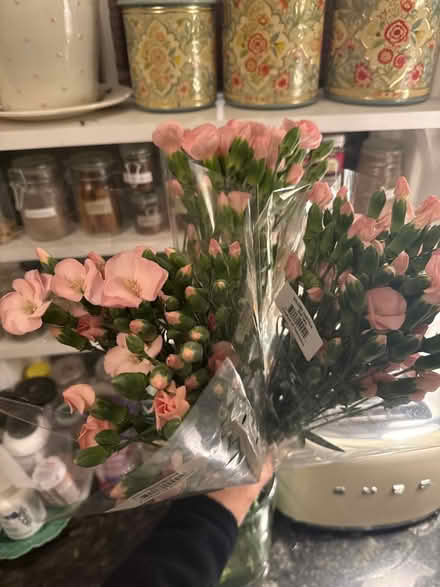 Photo of free Carnations from Trader Joe's (Dempster east of Ridge) #1