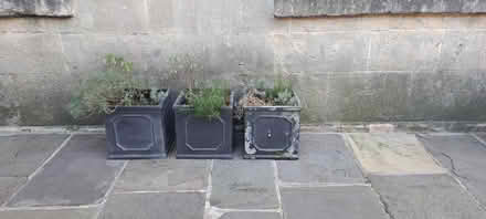 Photo of free Fibreglass Planters (Sion Hill) #1