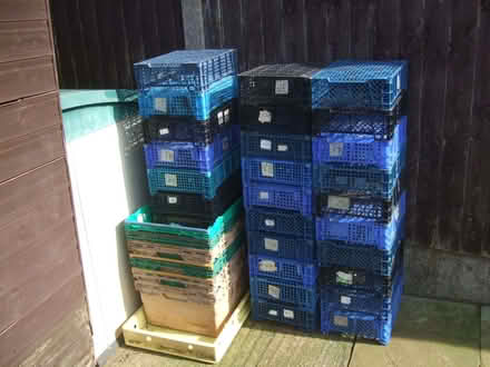 Photo of free 34 Baskets/Trays - Shed/Garden Storage Etc (Heath Hayes WS12) #1