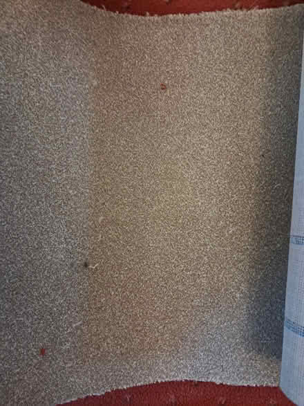 Photo of free Carpet off cuts (Grandborough, cv23 8dn) #2