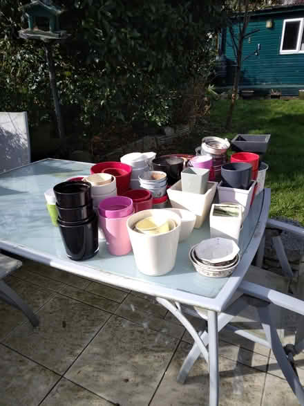 Photo of free Assortment of Flower Pots 🌼 (Dun Laoghaire) #1