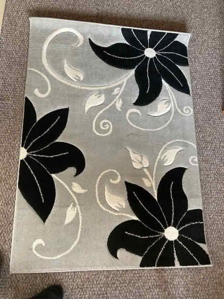 Photo of free Rug (Netherfield, Kendal LA9) #1