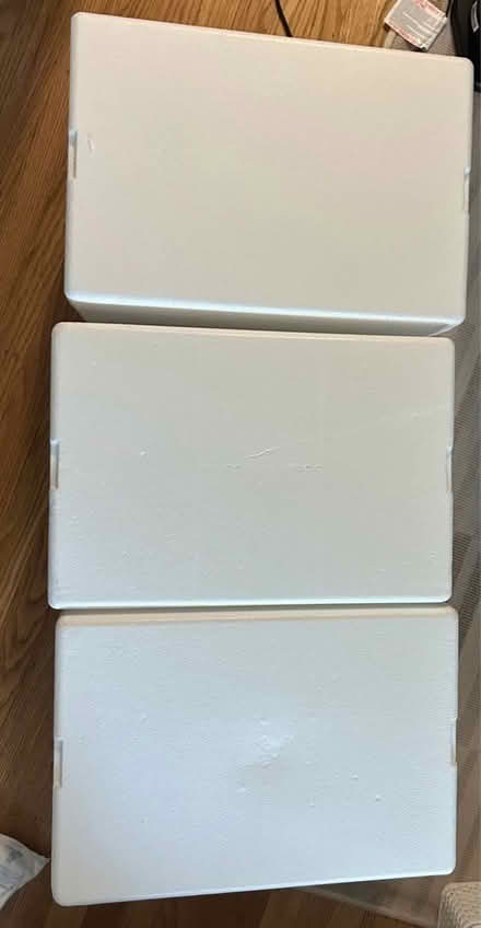 Photo of free 3 Reusable Styrofoam Ice Chests (near Downtown Menlo Park) #2