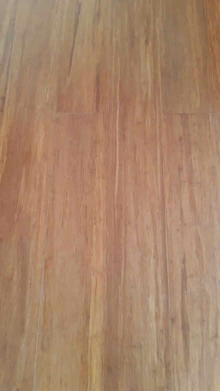 Photo of free About 2.8 square metres of bamboo flooring (new) (Fishbourne PO19) #1