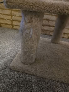 Photo of free Cat Tree Tower (Moraine/Miami Township Area) #3