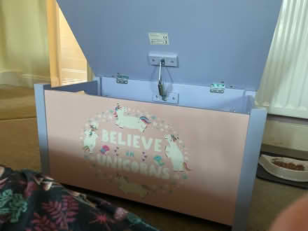 Photo of free Kids unicorn toy box (Blacklands TN34) #1