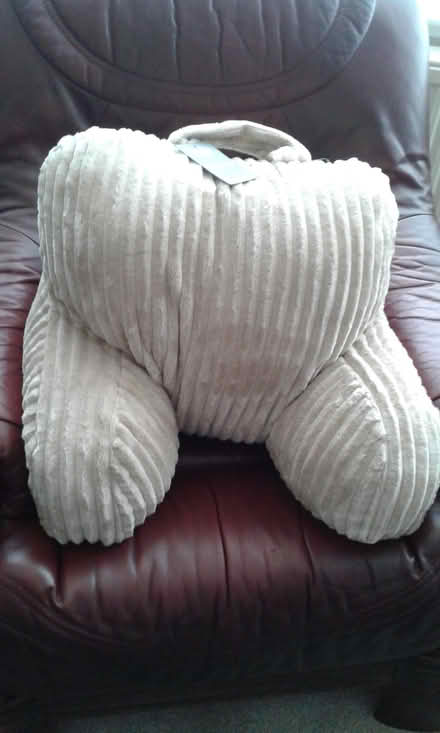Photo of free A Hug (St Blazey Gate PL24) #3
