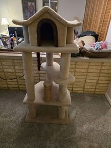 Photo of free Cat Tree Tower (Moraine/Miami Township Area) #1