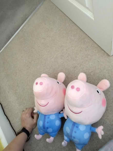 Photo of free Soft toys: 2 George Pigs (Billesley) (Alcester Lanes End B13) #1