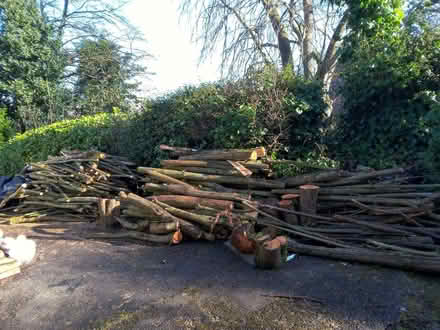 Photo of free Wood (Low Utley BD20) #1