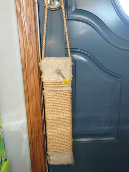 Photo of free Hanging cat scratch board (Harrisville) #1