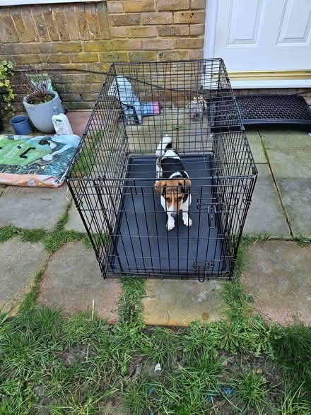 Photo of free Dog Crate (Bedfont TW14) #1