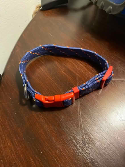 Photo of free Dog collar (Glenolden 19036) #1