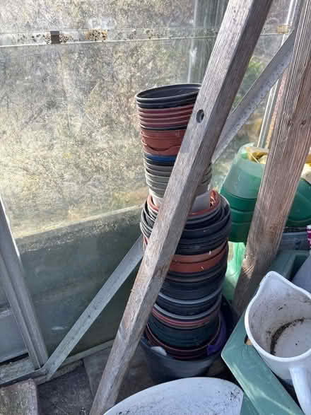 Photo of free Various seed trays (Eastbourne BN20) #2