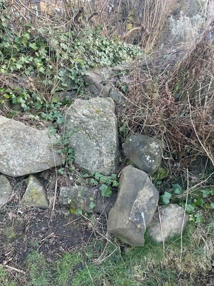 Photo of free Lots of rockery stone (Horsforth LS18) #1